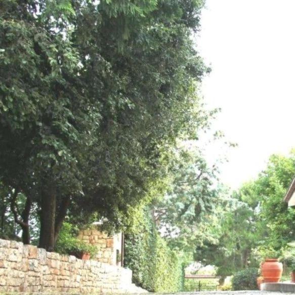 קסטלאנה גרוטה Casa Marisa Villa Vacanza מראה חיצוני תמונה