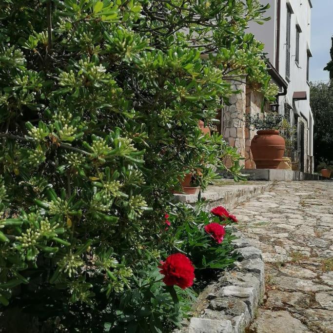 קסטלאנה גרוטה Casa Marisa Villa Vacanza מראה חיצוני תמונה