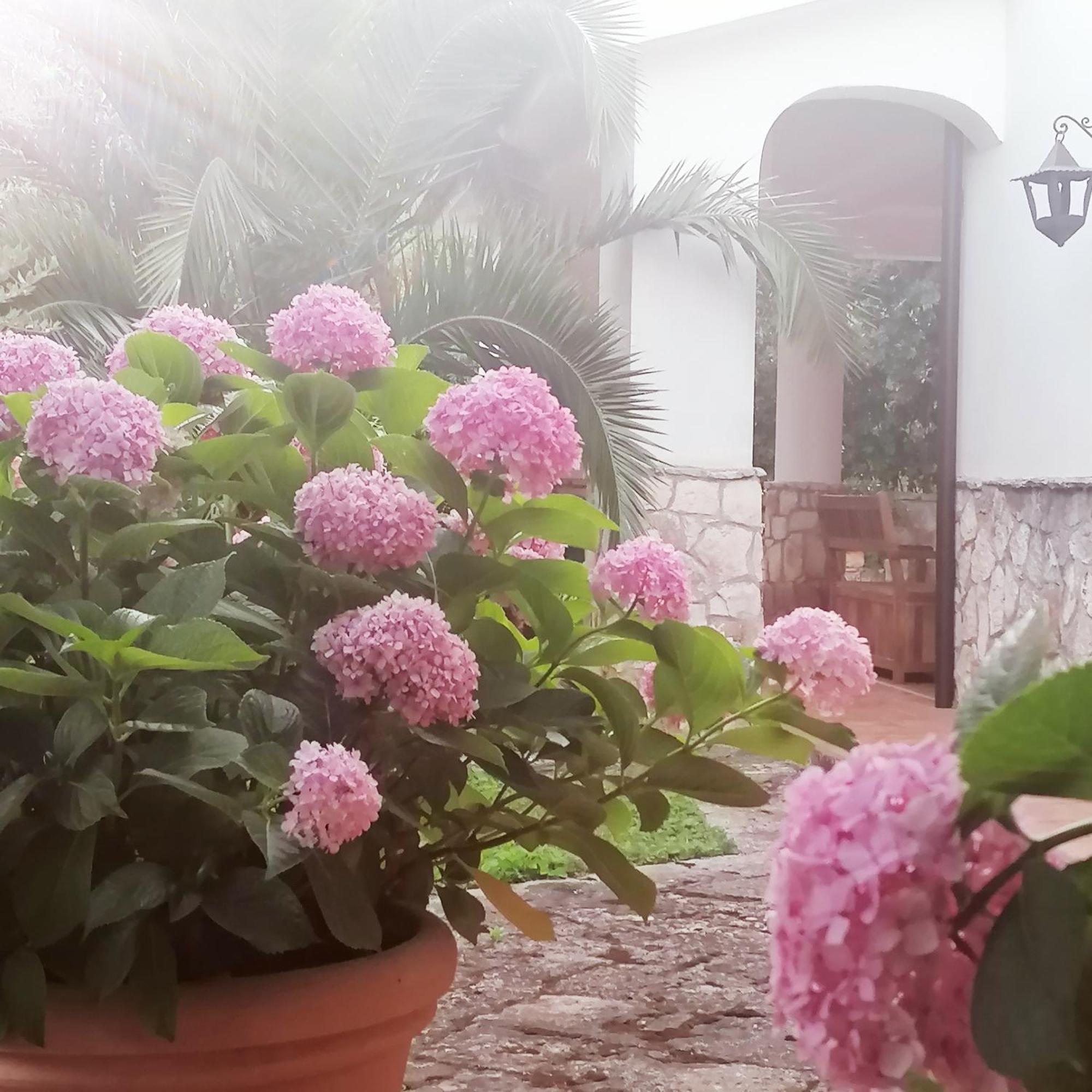 קסטלאנה גרוטה Casa Marisa Villa Vacanza מראה חיצוני תמונה