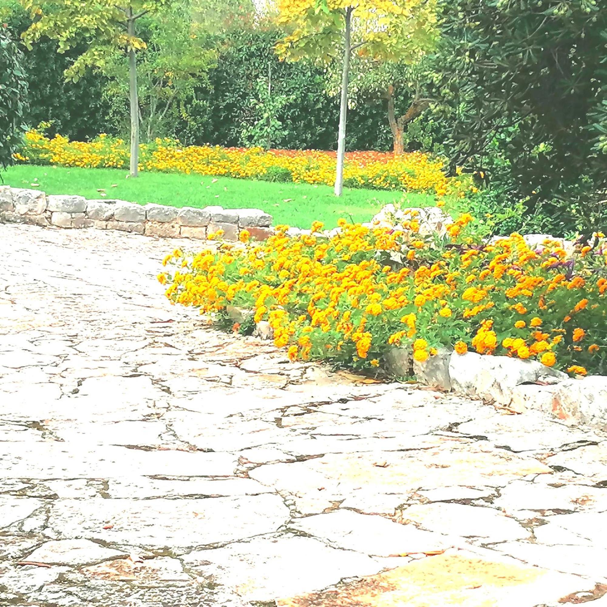 קסטלאנה גרוטה Casa Marisa Villa Vacanza מראה חיצוני תמונה