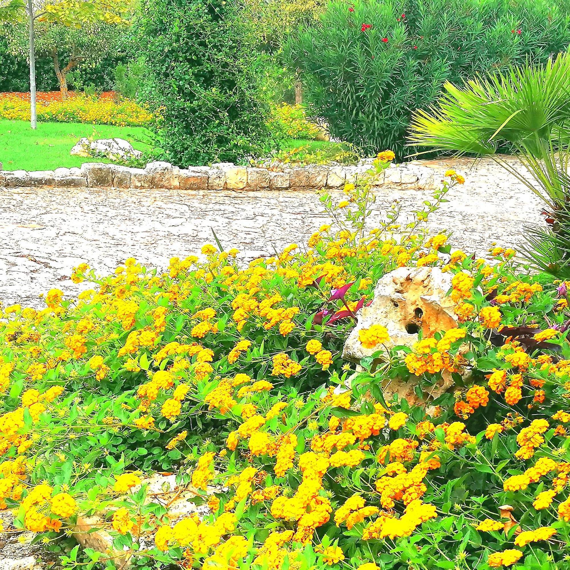 קסטלאנה גרוטה Casa Marisa Villa Vacanza מראה חיצוני תמונה